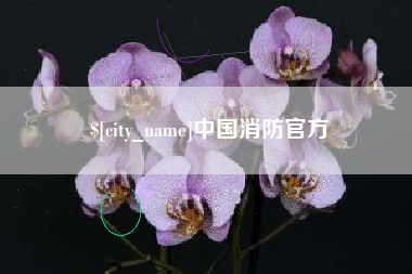 渑池中国消防官方