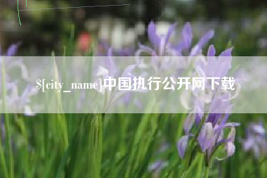 渑池中国执行公开网下载