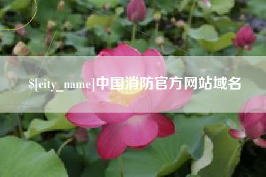渑池中国消防官方网站域名