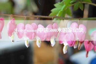 渑池中国5000米国家记录