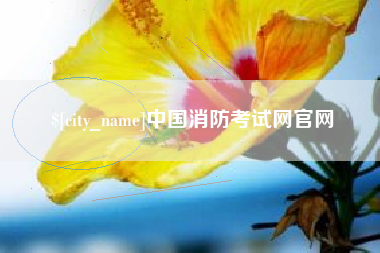 渑池中国消防考试网官网