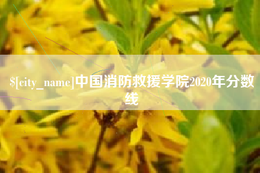 渑池中国消防救援学院2020年分数线