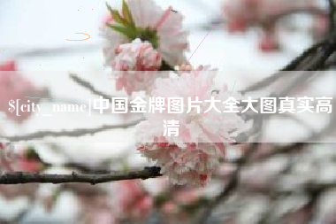 渑池中国金牌图片大全大图真实高清