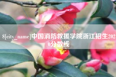 渑池中国消防救援学院浙江招生2020分数线