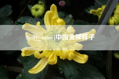 渑池中国金牌样子
