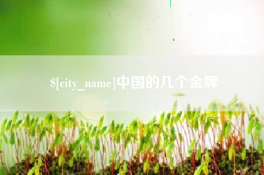 渑池中国的几个金牌