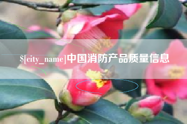 渑池中国消防产品质量信息
