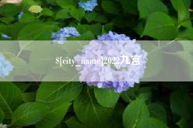渑池2022九宫