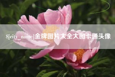 渑池金牌图片大全大图卡通头像