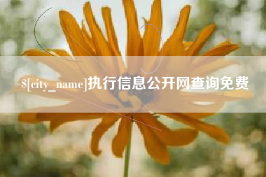 渑池执行信息公开网查询免费