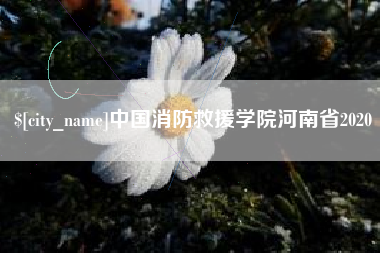 渑池中国消防救援学院河南省2020